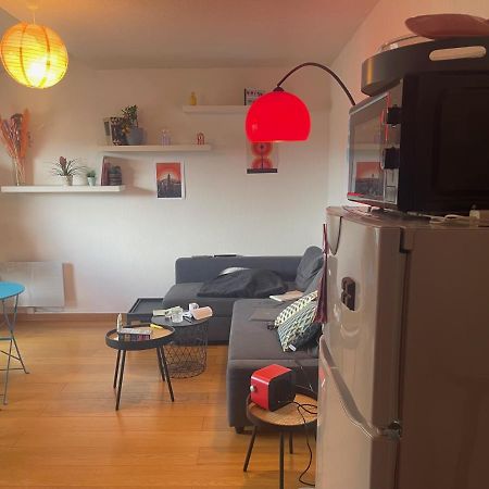 Appartement Au Centre Ville De Toulouse Kültér fotó