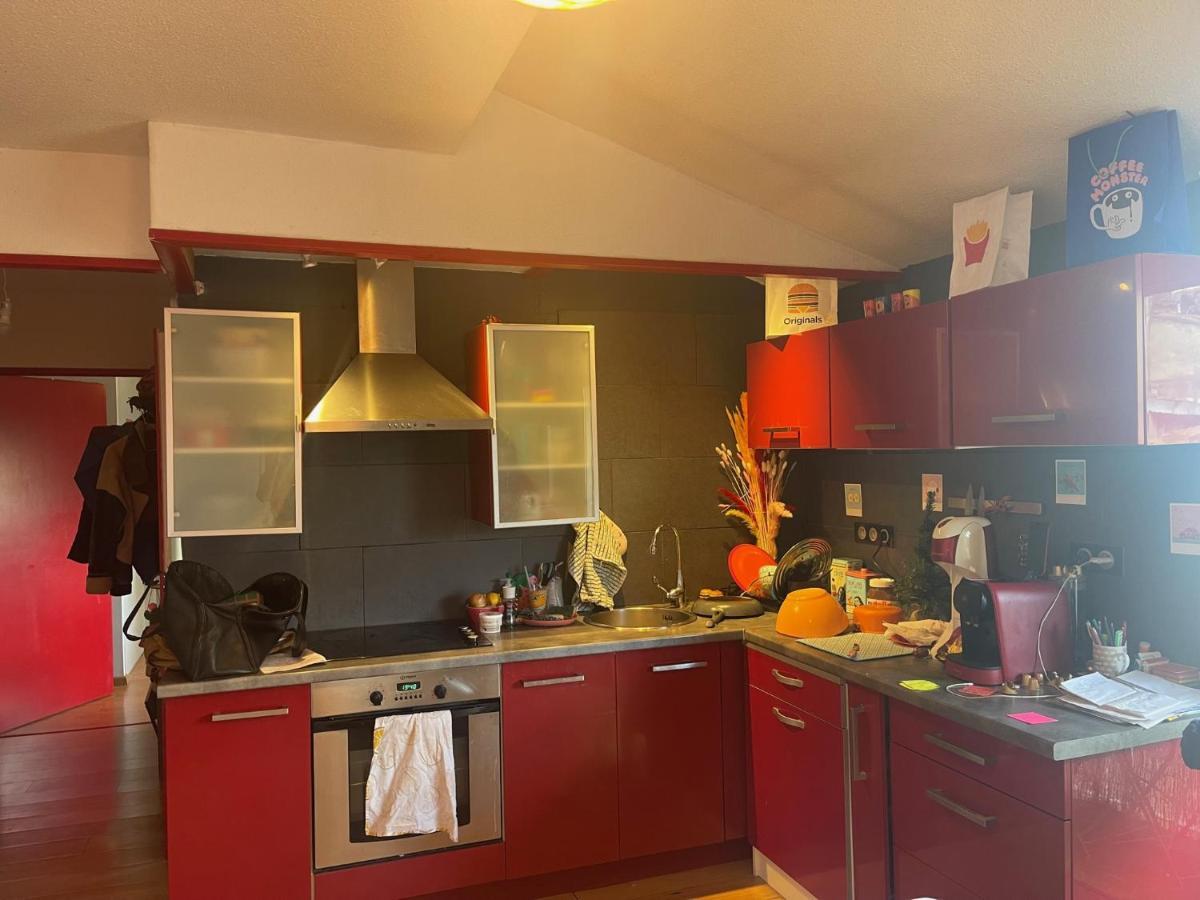 Appartement Au Centre Ville De Toulouse Kültér fotó