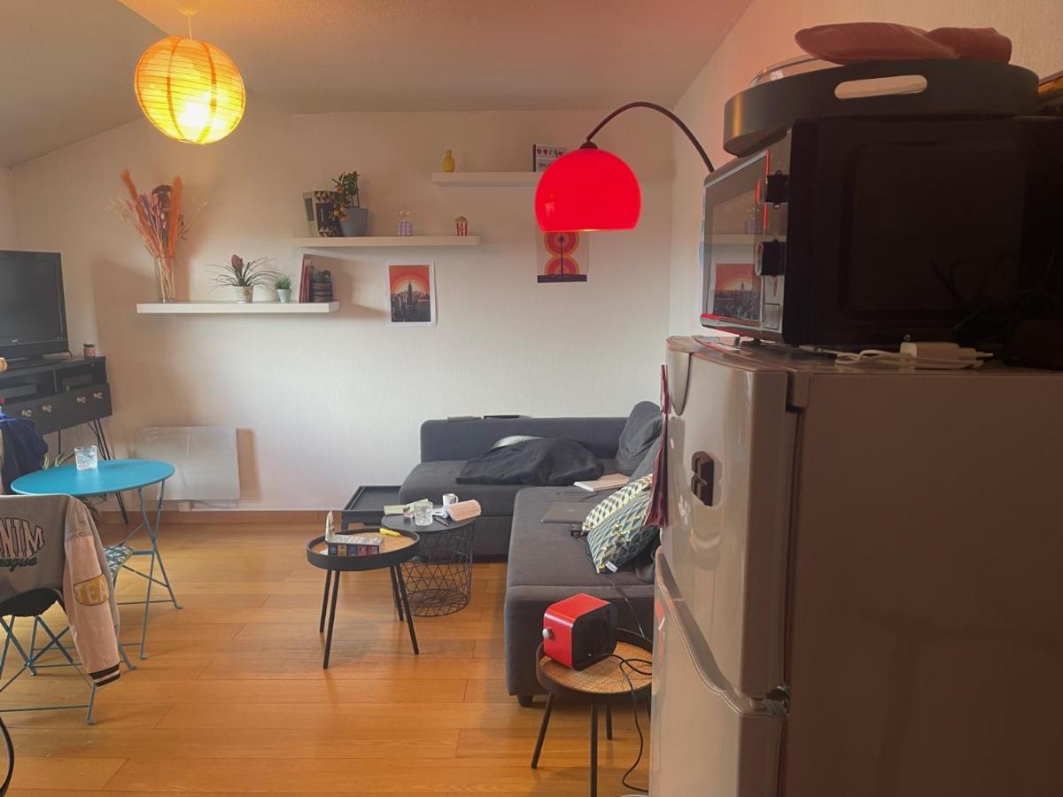 Appartement Au Centre Ville De Toulouse Kültér fotó